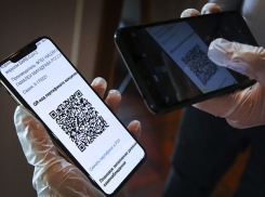 Игорь Бабушкин отменил QR-коды в регионе