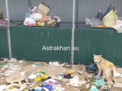 Власти астраханского села считают нормальной жизнь без света, воды и дорог