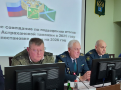 Астраханцы стали чаще заказывать автомобили за рубежом