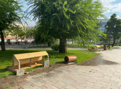 Полиция выяснила, чем провинились скамейки и урны в сквере Ульяновых 