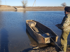 Запрет на вылов воблы в Астраханской области могут продлить