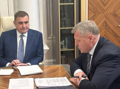 Игорь Бабушкин и Алексей Дюмин обсудили стратегию новой комиссии Госсовета