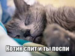 Большинство опрошенных астраханцев испытывают проблемы со сном
