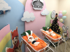  Астраханских новорожденных выписывали в костюмах кроликов 