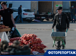 Как прошёл агрофестиваль в Астрахани