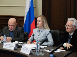 Любовь Плющенко: 25 человек погибли из-за недостатка улично-дорожной сети в Астраханской области