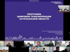 Для Астраханской области разработали стратегию цифрового развития до 2030 года