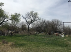 В Астрахани руководитель фирмы хотел присвоить земельный участок мошенничеством