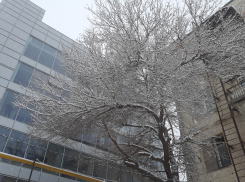 На Астрахань надвигаются сильные морозы