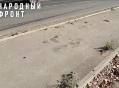 В Астрахани из асфальта на Энергетической проросли сорняки