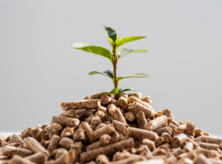 Пеллетный завод под Астраханью снизит пожароопасность в регионе