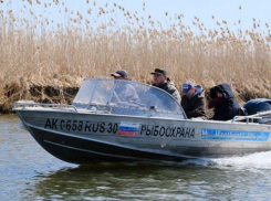 За неделю в Астраханской области поймано 16 рыбаков-нарушителей