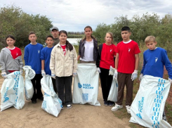 Астраханцы освободили от мусора порядка 400 километров береговых линий