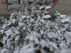 В Астраханской области местами ожидают заморозки