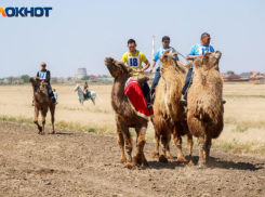 Джигитовка, корэш, Этнодеревня: готова почасовая программа Сабантуя – 2023 в Астраханской области