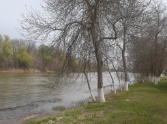 На расчистку астраханских каналов-рыбоходов выделят более 400 миллионов рублей