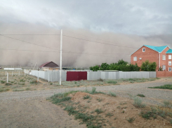 Пыльная буря в Астрахани устроила конец света, но не более