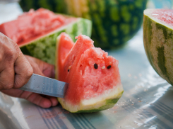 Жареный факт: главная астраханская ягода поспела на месяц раньше