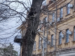 Погода, праздники, именины во вторник 26 декабря 