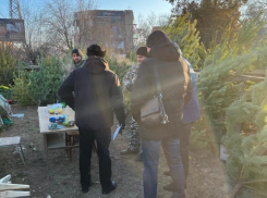 В Астрахани штрафуют нелегальных торговцев елками