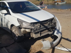 Астраханские дворняги растерзали бампер и погрызли провода припаркованного авто