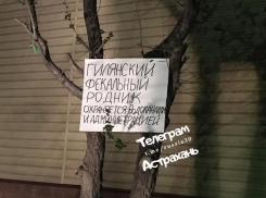 Астраханцы окрестили канализационную лужу на Дарвина фекальным родником