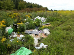 За 2022 год Россельхознадзор нашёл 64 свалки на сельхозучастках Астраханской области