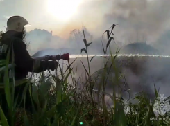 Прокуратура выяснит причину пожара вблизи дачных домов под Астраханью