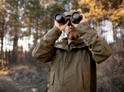 С ноября астраханцам разрешат охотиться на волков, фазанов и зайцев