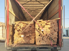 Астраханские таможенники пресекли вывоз ценной древесины в Казахстан