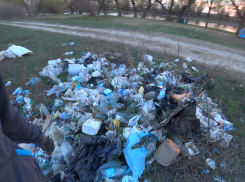 Астраханцы жалуются на мусор вдоль берегов рек