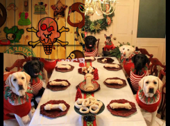 Астраханцам рассказали, какие новогодние салаты съесть первыми, чтобы не отравиться