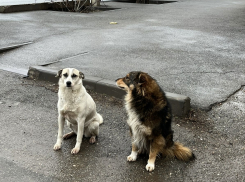 Погода, праздники, именины в понедельник 12 февраля 