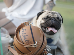 Стабильно жарко и свежо: какая погода ждёт астраханцев на следующей неделе 
