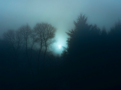 Под Астраханью нашли мертвого мужчину с укусами на теле