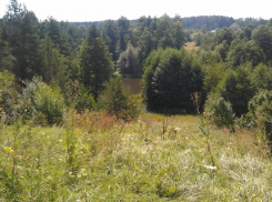 За пожароопасный сезон в Астраханской области было совершено 177 нарушений