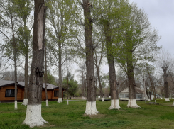 Прогноз погоды, именины, праздники в Астрахани в пятницу 12 мая