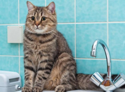 Подачу холодной воды в правобережье Астрахани возобновят в ближайшее время