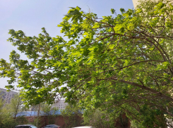 Астраханская область подготовилась к возможной непогоде