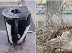 За новогодние праздники астраханцы сломали двадцать урн и несколько лавочек