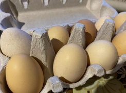 Яйца нынче в почёте: в Астрахани устроили распродажу перед Пасхой