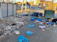 Выяснилось, где находятся одни из самых захламленных точек Астрахани. Часть шестая