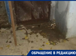 Жители девятиэтажки на Звёздной в Астрахани задыхаются от запахов фекалий