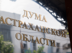 Комитет Госдумы по бюджету и налогам поддержал инициативу Думы Астраханской области