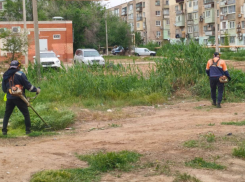 Астраханские районы освобождают от сорной травы ради безопасности