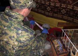 В Астрахани женщина убила своего сожителя