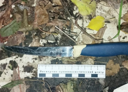 Астраханка получила срок за убийство мужа одним ударом