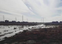 Ущерб от разлива нечистот под Астраханью Росприроднадзор оценил в 2 миллиарда рублей