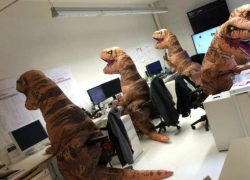 Астраханцам тяжело найти общий язык с программистами и бухгалтерами