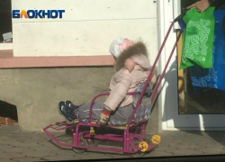 Фото дня: очень астраханские санки